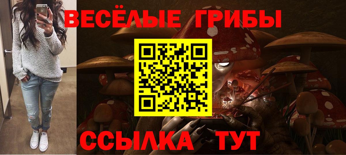 Псилоцибиновые грибы прущие грибы  Галлюциногенные грибы мицелий  Вход с VPN  Серов 