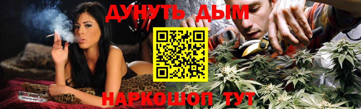 Конопля сатива Серов